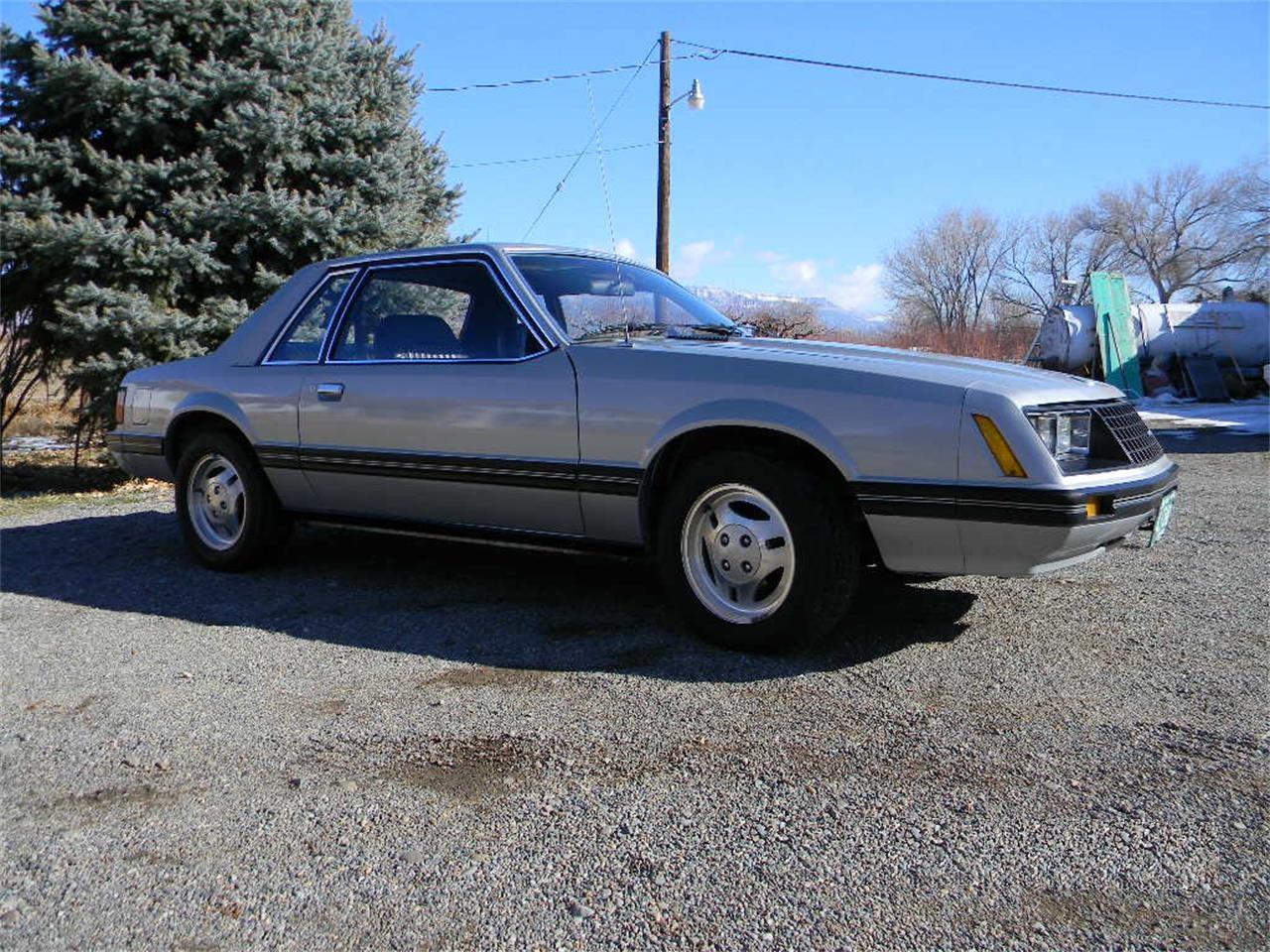 1979 Ford Mustang for Sale | ClassicCars.com | CC-1177089