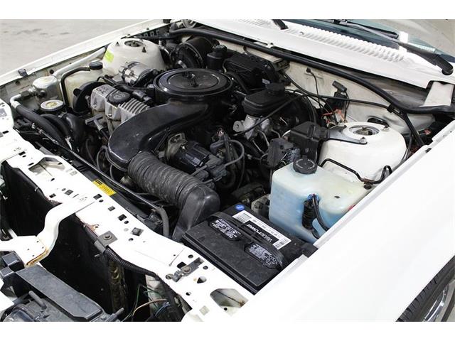 1990 Pontiac Sunbird (CC-1177138) for sale in Kentwood, Michigan