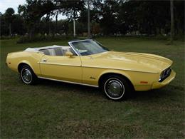 1973 Ford Mustang (CC-1177989) for sale in Palmetto, Florida