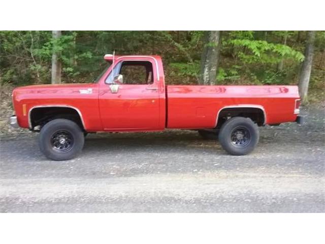 1977 Chevrolet C20 (CC-1178202) for sale in Cadillac, Michigan