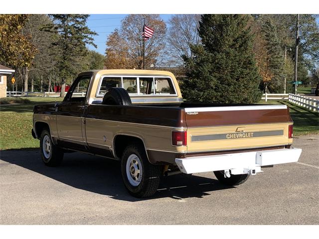 1977 Chevrolet C20 (CC-1178359) for sale in Maple Lake, Minnesota