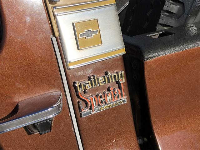 1977 Chevrolet C20 (CC-1178359) for sale in Maple Lake, Minnesota