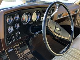 1977 Chevrolet C20 (CC-1178359) for sale in Maple Lake, Minnesota