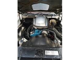 1978 Pontiac Firebird Trans Am (CC-1178636) for sale in West Pittston, Pennsylvania