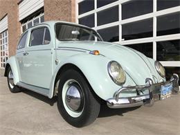1964 Volkswagen Beetle (CC-1178655) for sale in Henderson, Nevada