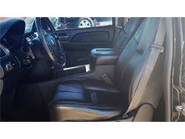 2009 Chevrolet Tahoe (CC-1179063) for sale in Tavares, Florida