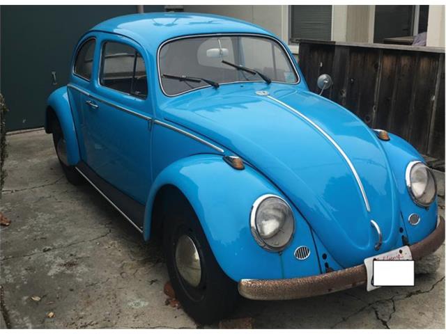 1963 Volkswagen Beetle (CC-1179454) for sale in Santa Cruz, California