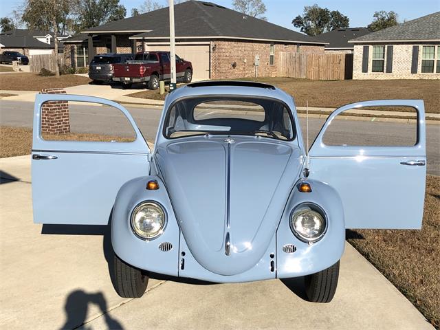 1964 Volkswagen Beetle (CC-1179472) for sale in Pensacola, Florida