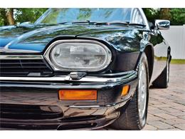 1996 Jaguar XJS (CC-1179746) for sale in Lakeland, Florida