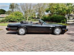 1996 Jaguar XJS (CC-1179746) for sale in Lakeland, Florida