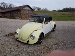 1969 Volkswagen Beetle (CC-1181116) for sale in Cadillac, Michigan