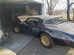 1978 Pontiac Firebird (CC-1181703) for sale in Cadillac, Michigan