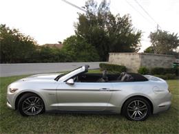 2017 Ford Mustang (CC-1181748) for sale in Delray Beach, Florida
