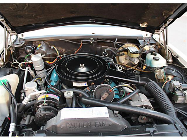1981 Oldsmobile Toronado (CC-1181854) for sale in Lakeland, Florida