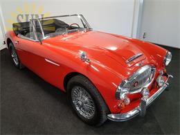 1965 Austin-Healey 3000 Mark III (CC-1182313) for sale in Waalwijk, noord Brabant