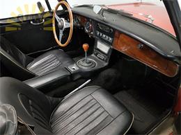1965 Austin-Healey 3000 Mark III (CC-1182313) for sale in Waalwijk, noord Brabant