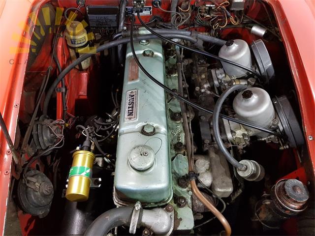 1965 Austin-Healey 3000 Mark III (CC-1182313) for sale in Waalwijk, noord Brabant