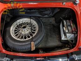 1965 Austin-Healey 3000 Mark III (CC-1182313) for sale in Waalwijk, noord Brabant