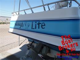 1981 delta-van-cruiser Van Cruiser (CC-1182315) for sale in Lake Havasu, Arizona