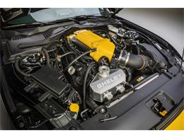 2016 Shelby Mustang (CC-1183420) for sale in Huntington Beach, California