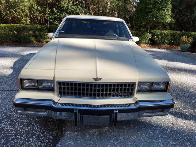 1986 Chevrolet Caprice for Sale | ClassicCars.com | CC-1183436