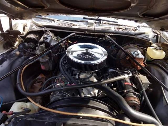 1975 Chevrolet El Camino (CC-1183474) for sale in Cadillac, Michigan