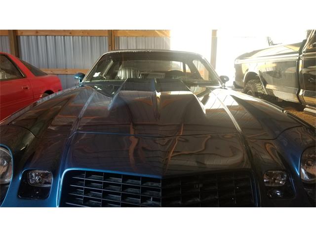 1979 Chevrolet Camaro Z28 (CC-1183759) for sale in River Falls, Wisconsin