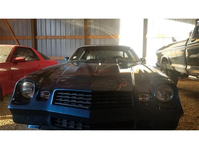 1979 Chevrolet Camaro Z28 (CC-1183759) for sale in River Falls, Wisconsin