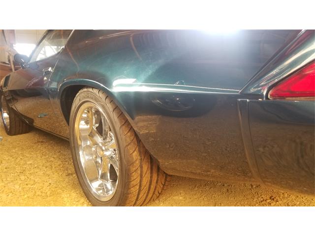 1979 Chevrolet Camaro Z28 (CC-1183759) for sale in River Falls, Wisconsin