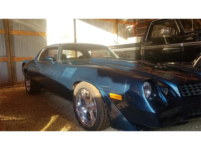 1979 Chevrolet Camaro Z28 (CC-1183759) for sale in River Falls, Wisconsin