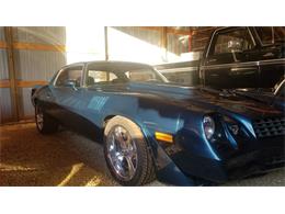 1979 Chevrolet Camaro Z28 (CC-1183759) for sale in River Falls, Wisconsin