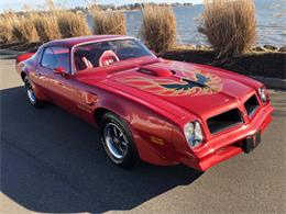 1976 Pontiac Firebird Trans Am (CC-1184522) for sale in Milford City, Connecticut