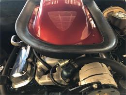 1976 Pontiac Firebird Trans Am (CC-1184522) for sale in Milford City, Connecticut