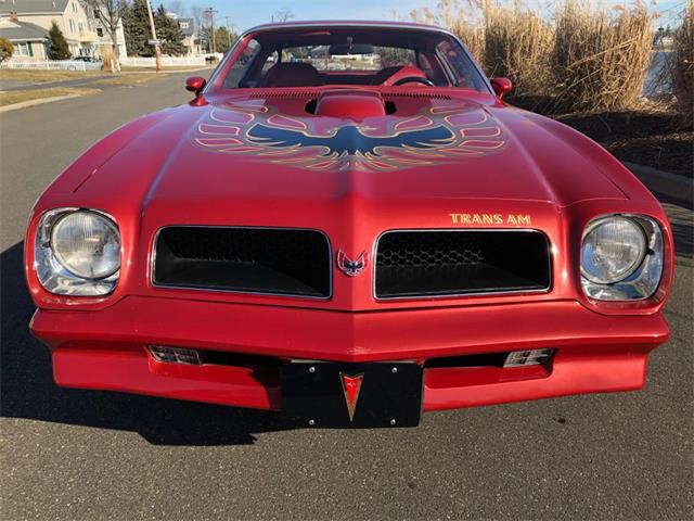 1976 Pontiac Firebird Trans Am (CC-1184522) for sale in Milford City, Connecticut