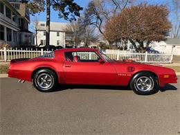 1976 Pontiac Firebird Trans Am (CC-1184522) for sale in Milford City, Connecticut