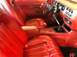 1976 Pontiac Firebird Trans Am (CC-1184522) for sale in Milford City, Connecticut