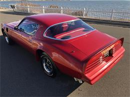 1976 Pontiac Firebird Trans Am (CC-1184522) for sale in Milford City, Connecticut