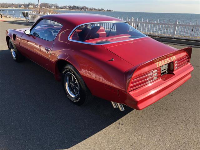 1976 Pontiac Firebird Trans Am (CC-1184522) for sale in Milford City, Connecticut