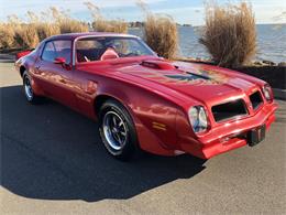 1976 Pontiac Firebird Trans Am (CC-1184522) for sale in Milford City, Connecticut