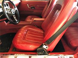1976 Pontiac Firebird Trans Am (CC-1184522) for sale in Milford City, Connecticut