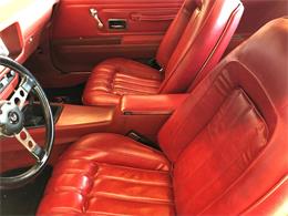 1976 Pontiac Firebird Trans Am (CC-1184522) for sale in Milford City, Connecticut