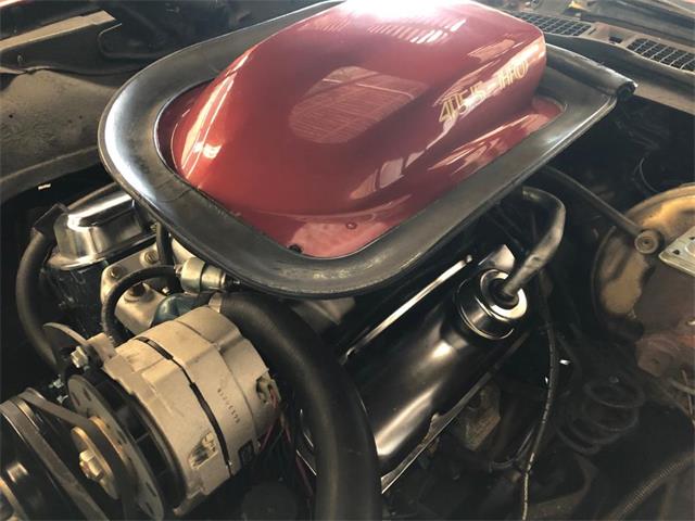 1976 Pontiac Firebird Trans Am (CC-1184522) for sale in Milford City, Connecticut