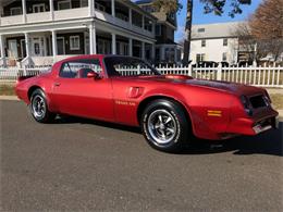 1976 Pontiac Firebird Trans Am (CC-1184522) for sale in Milford City, Connecticut
