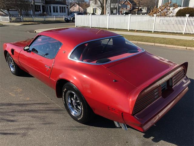 1976 Pontiac Firebird Trans Am (CC-1184522) for sale in Milford City, Connecticut