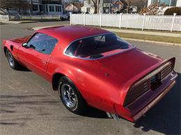 1976 Pontiac Firebird Trans Am (CC-1184522) for sale in Milford City, Connecticut