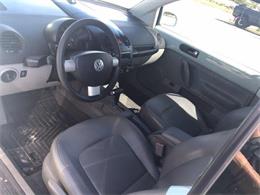 2005 Volkswagen Beetle (CC-1184806) for sale in Tavares, Florida