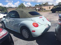 2005 Volkswagen Beetle (CC-1184806) for sale in Tavares, Florida