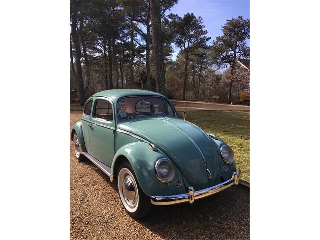 1962 Volkswagen Beetle (CC-1186214) for sale in Edgartown, Massachusetts