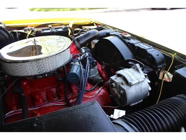 1969 International Scout (CC-1186360) for sale in La Verne, California
