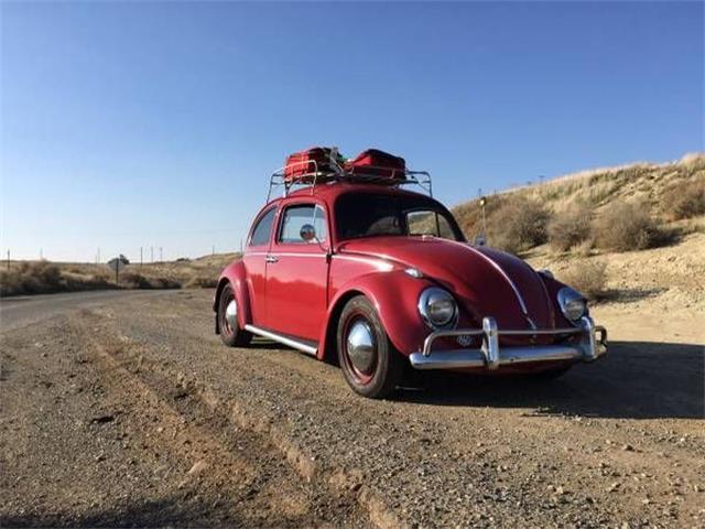 1964 Volkswagen Beetle (CC-1180641) for sale in Cadillac, Michigan
